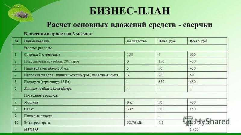 Финансовое состояние ооо "т.б.х."