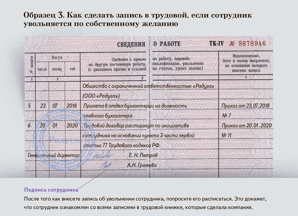 Тонкости увольнения главного бухгалтера по собственному желанию: порядок действий, срок отработки и положенные выплаты