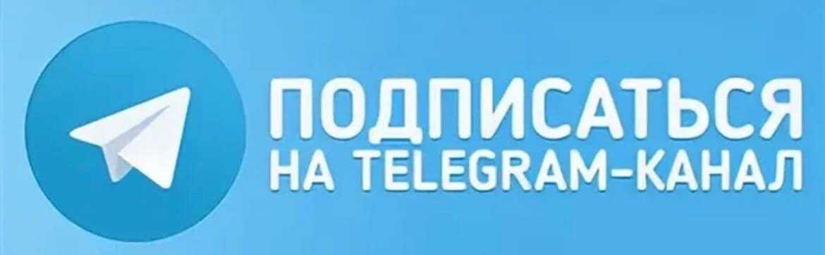 Альтернатива биткоину: на кого делать ставку? | финтолк