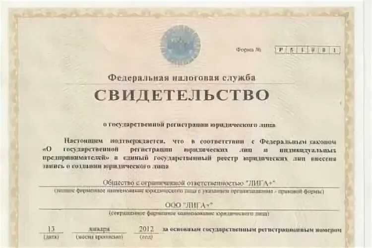 Что такое свидетельство о государственной регистрации организации: основные сведения и документы