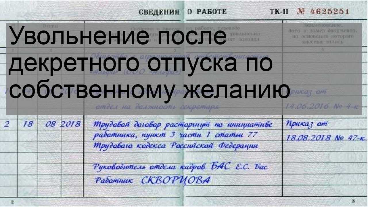 В статье расскажем, как оформить увольнение в декретном отпуске по собственному желанию