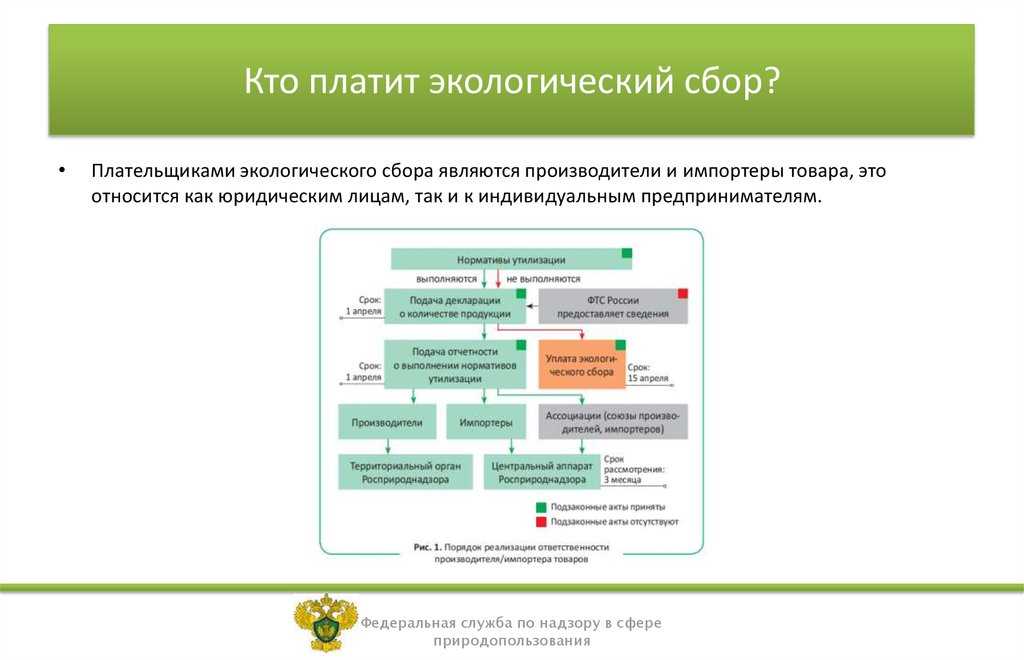 Экологический сбор: кто должен платить, расчет суммы, срок уплаты, порядок взимания