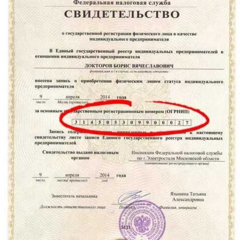 Алина моносова: биография, образование и разносторонний карьерный путь