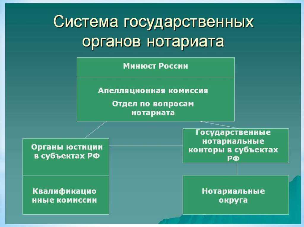 В федеральной нотариальной палате рассказали о работе в новых российских регионах