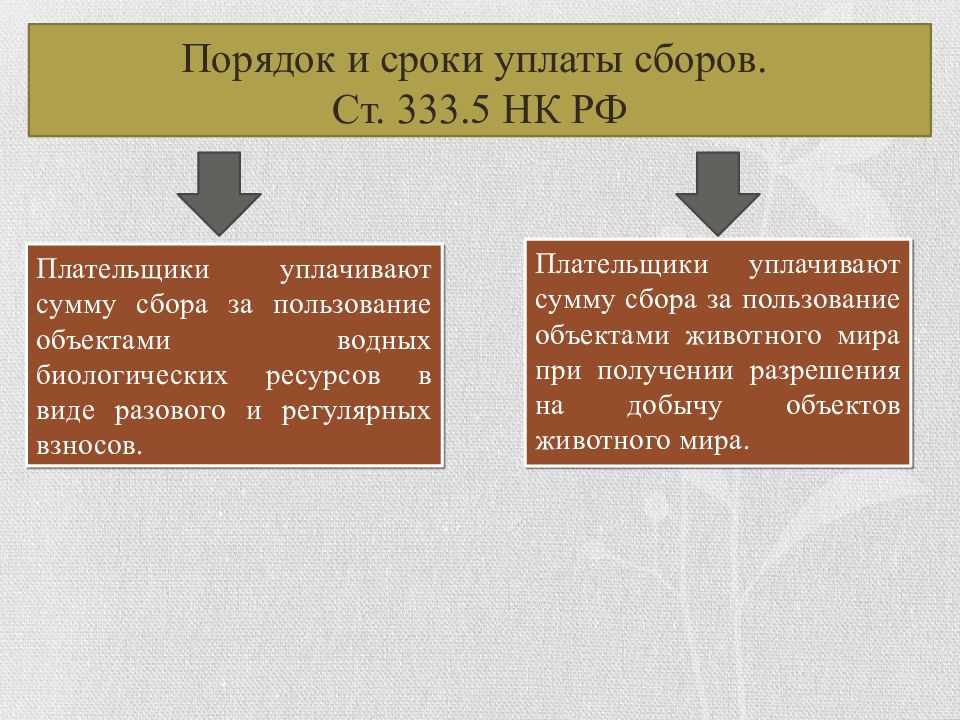 Налог за пользование животным миром птица. в каких случаях физические лица уплачивают сбор за пользование объектами животного мира и водных ресурсов? за что производится сбор за пользование объектами водных биологических ресурсов