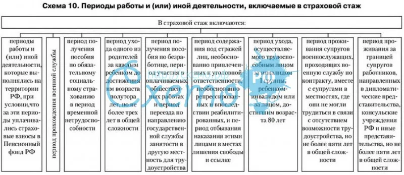 Кому положена досрочная пенсия в 2024 году