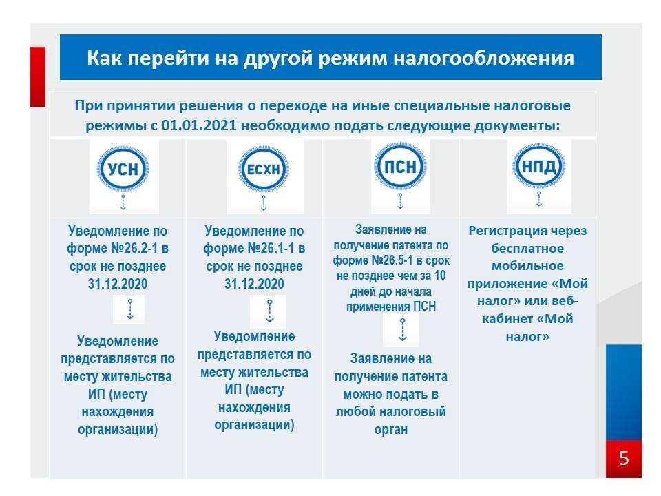 Системы налогообложения для ип и ооо, виды налоговых режимов рф в 2024 году