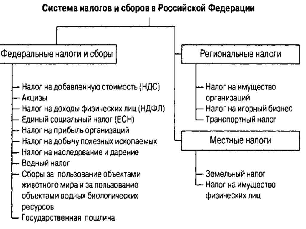 Налоговая система. основы законодательства о налогах и сборах. принципы налогообложения - налоговое право | юрком 74