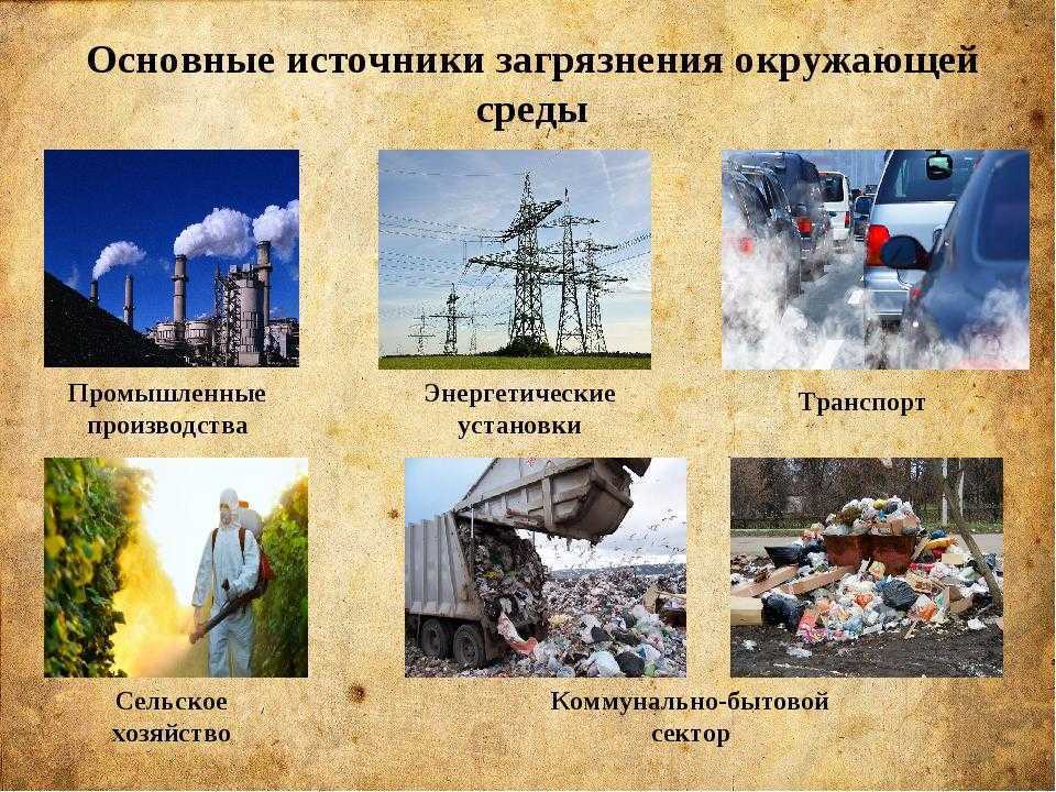 Шумовое загрязнение окружающей среды: источники и способы измерения