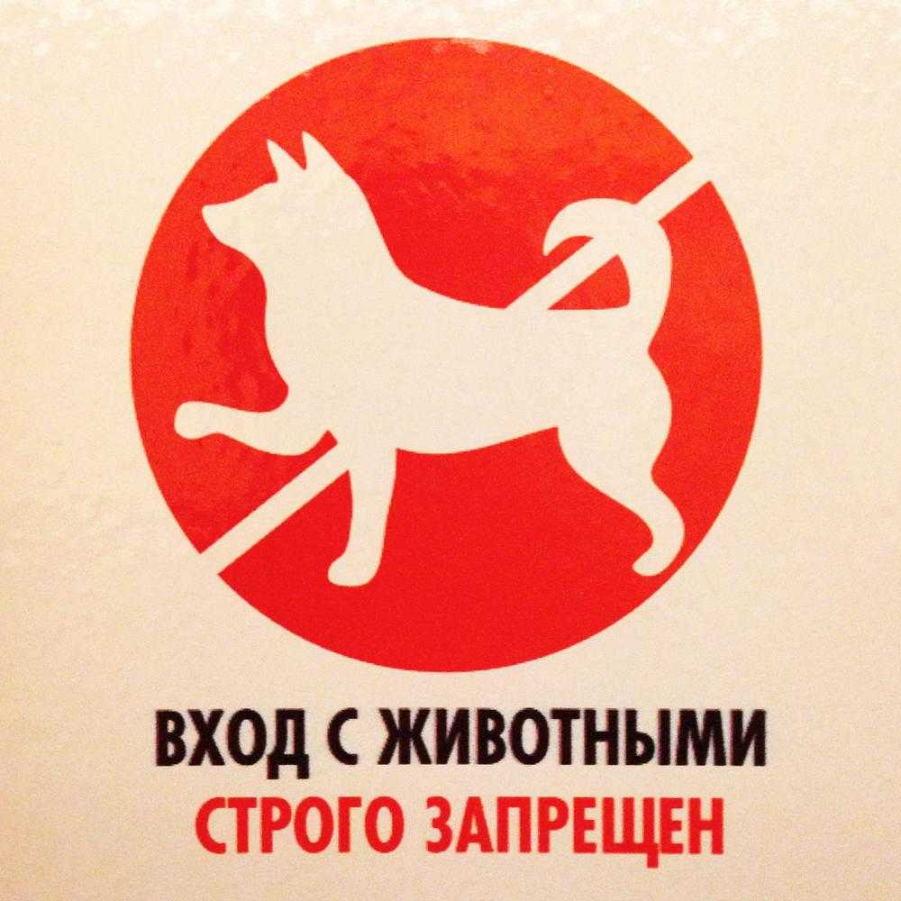 Нужен закон о том, что в торговом зале, где торгуют пищевыми продуктами, не место животным кошкам