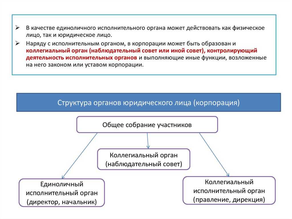 Единоличный исполнительный орган организации