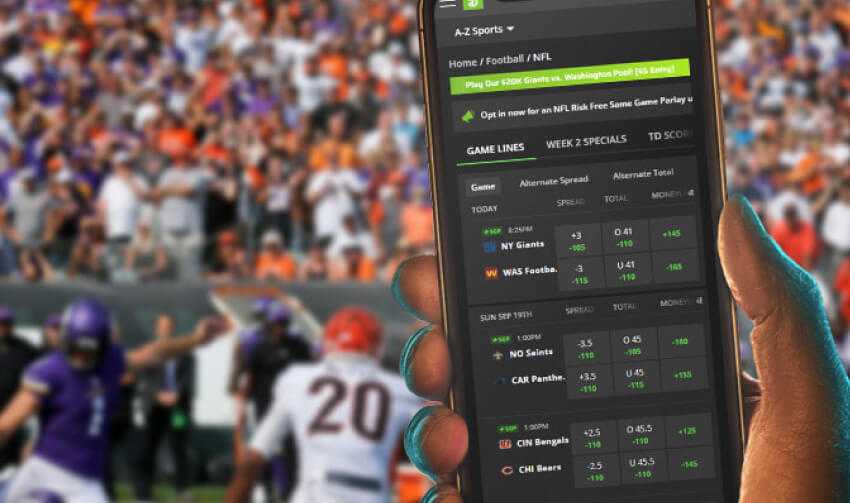 Best offshore betting sites & sportsbooks in 2024 ranked by odds, bonuses, and markets