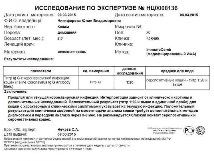 Как оплатят вынужденную рабочую паузу?