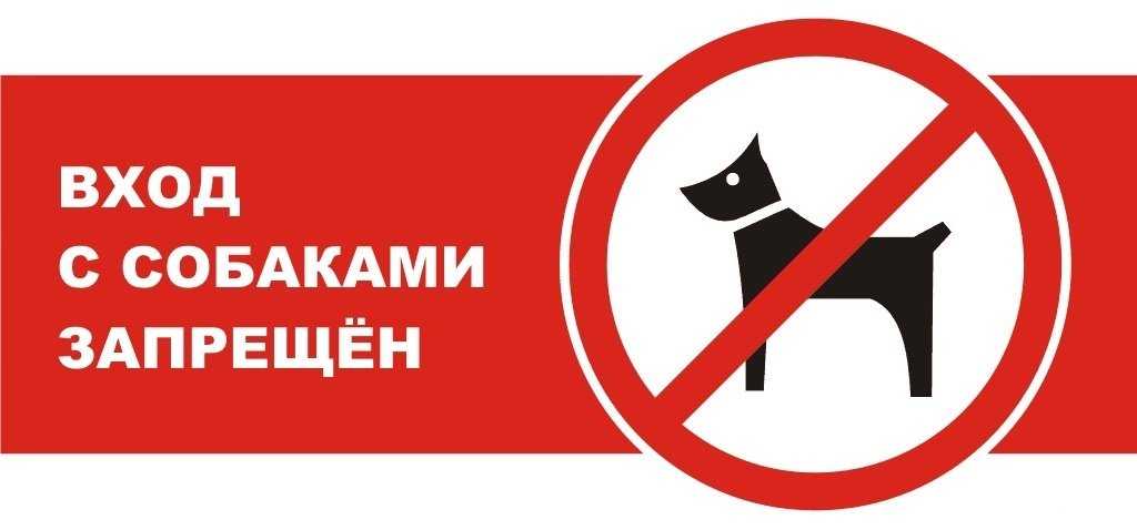 Можно ли с собакой в магазин - юридические тонкости