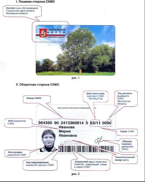 В россии могут ввести социальные скидочные карты для малоимущих. кто может рассчитывать на помощь | ямал-медиа