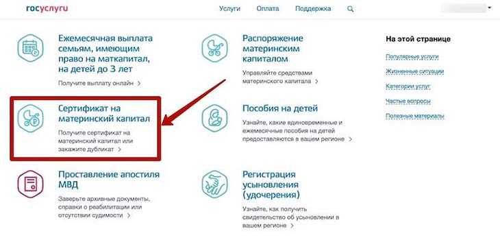 Как узнать остаток материнского капитала через госуслуги? получение справки