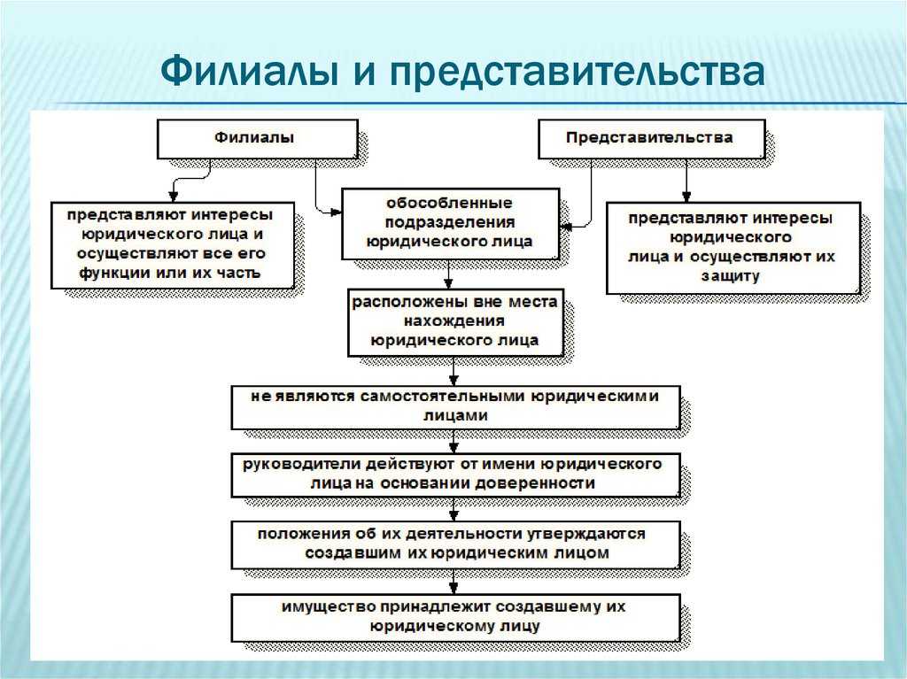 Филиалы и представительства юридических лиц.