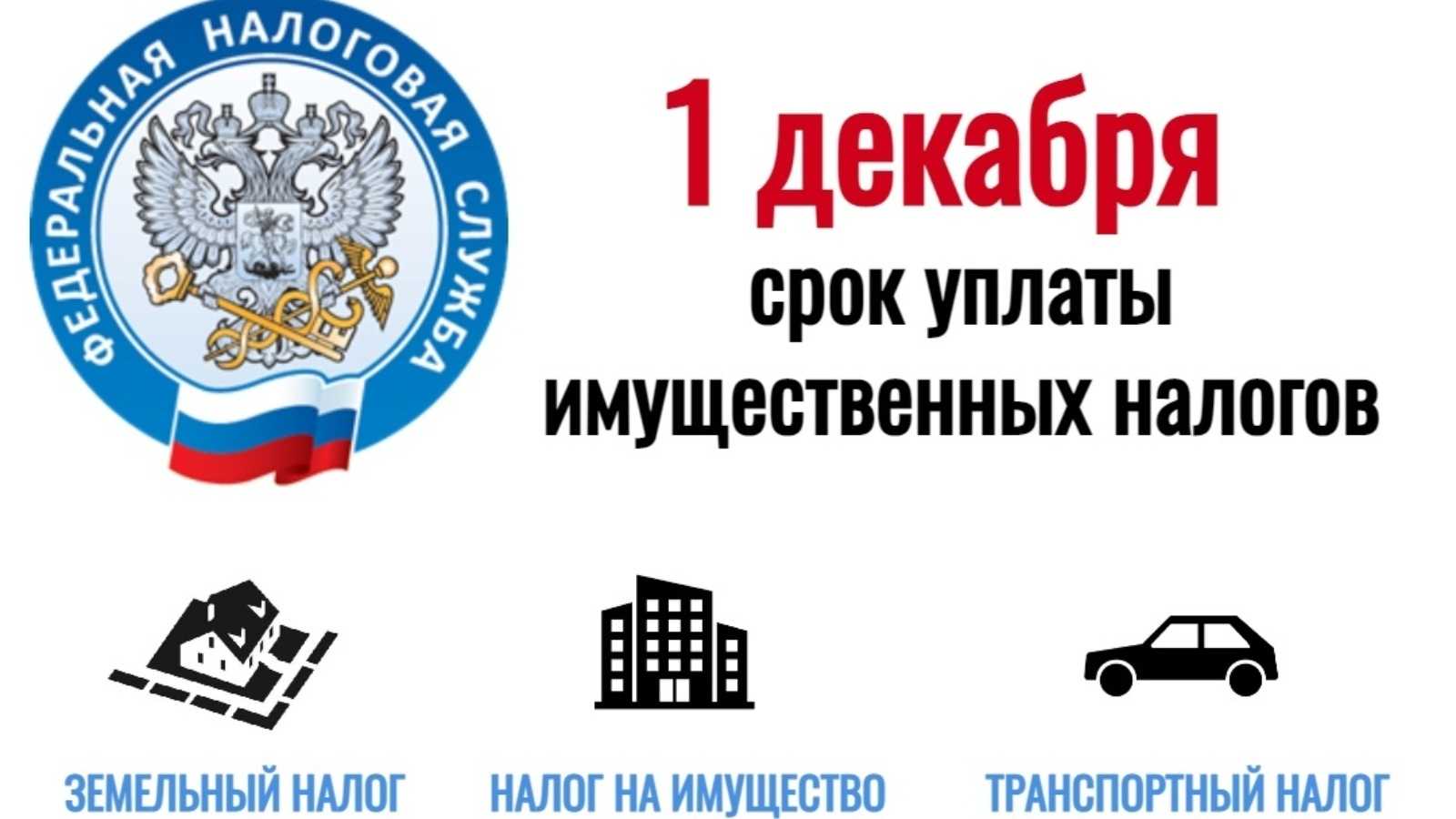 Налоговый календарь бухгалтера 2024