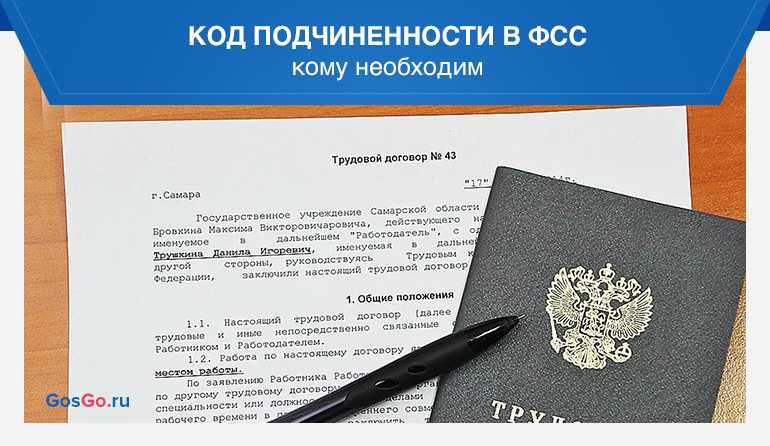 Регистрационный номер и код подчиненности фсс: как узнать номер и не запутаться в количестве символов