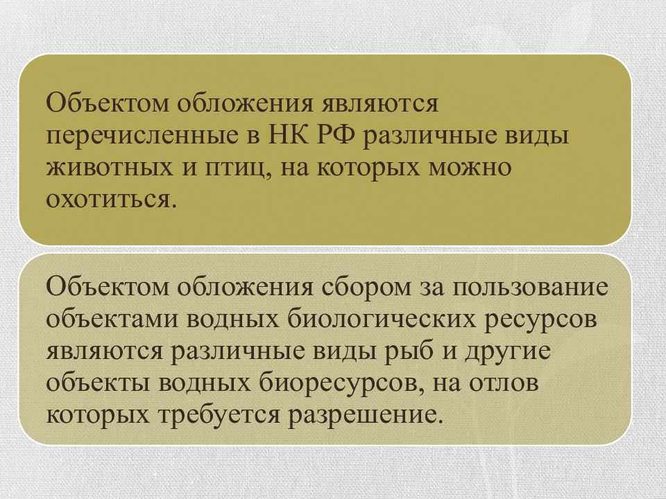 Особенности оплаты сбора за пользование объектами животного мира