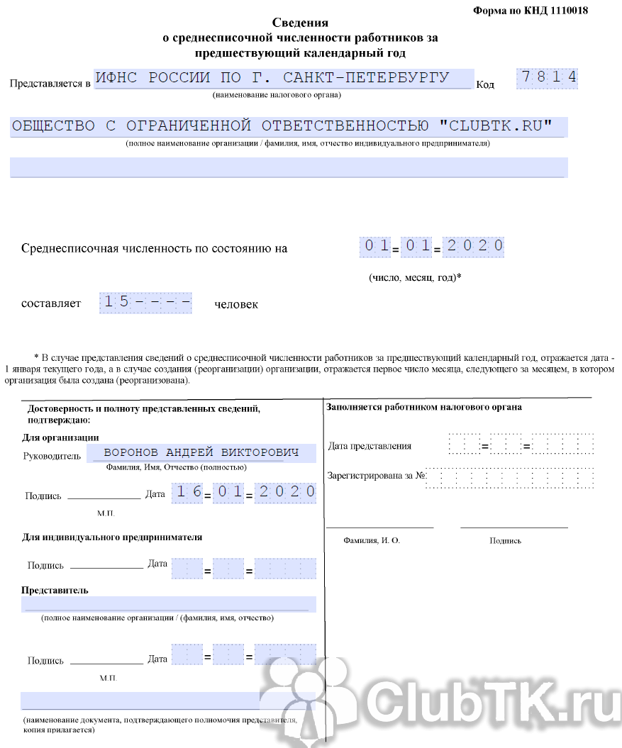 Образец заполнения формы кнд 1110018