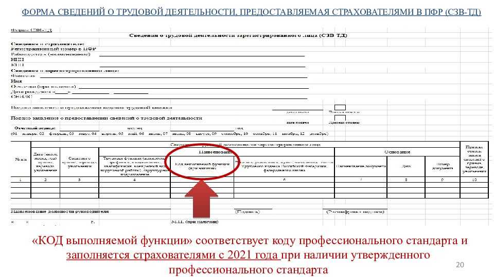 Как указывать код профессиональной деятельности в отчете ефс-1
