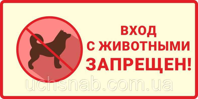 Можно ли заходить в магазин с собакой