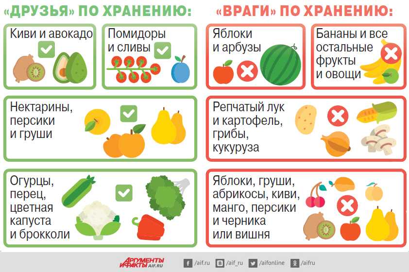 Как правильно хранить продукты в холодильнике: тонкости, секреты свежести
