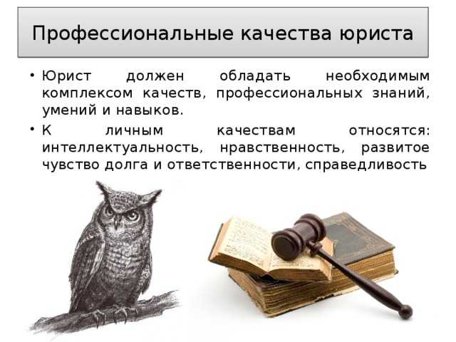 Какие знания нужны юристу