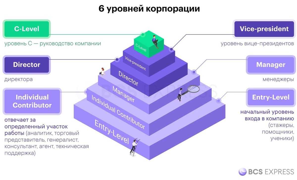 Кому подчинятся при нескольких руководителях | закон финанс