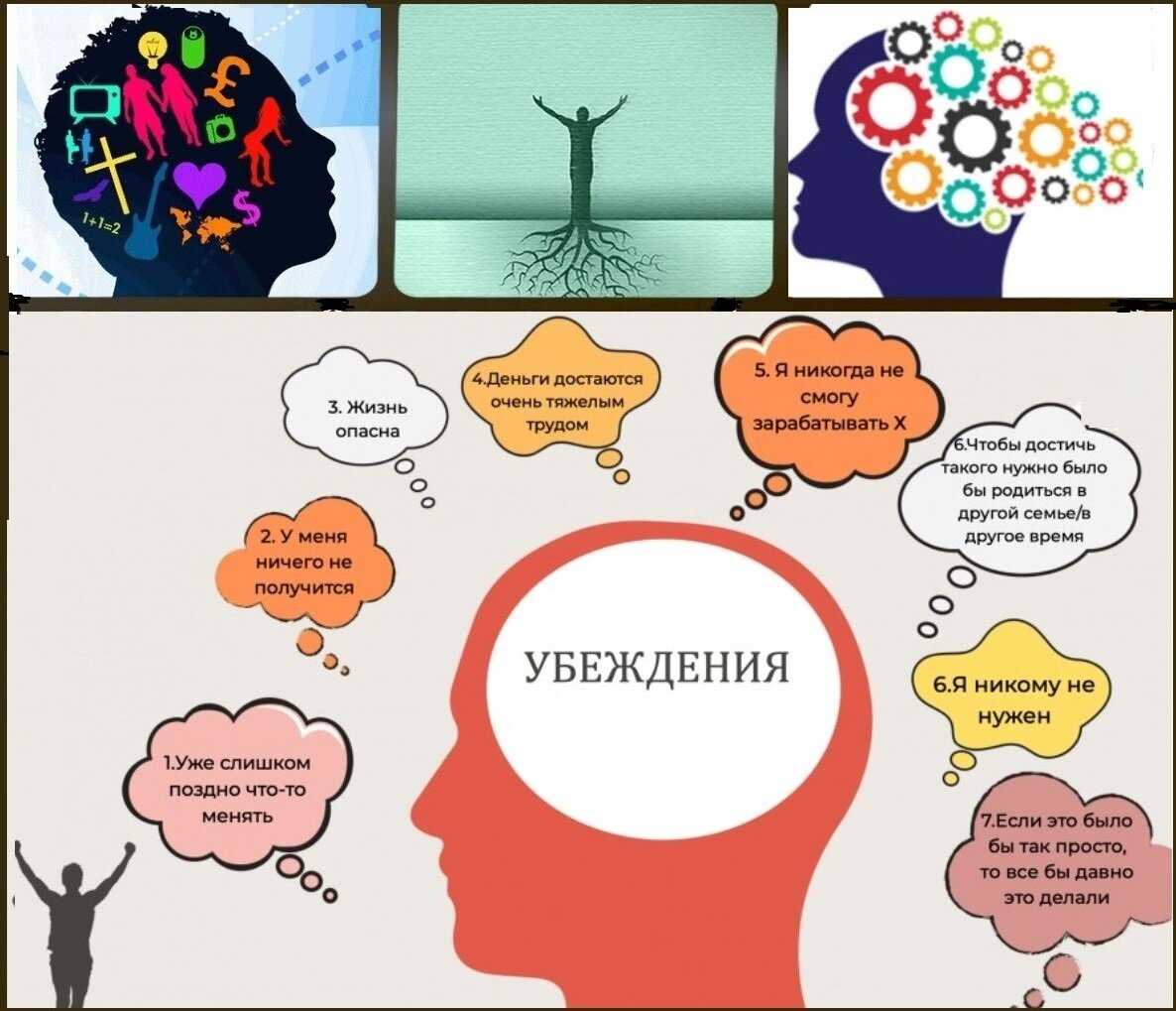 5 ролей комнатных растений в интерьере