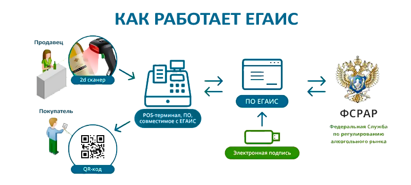 Отчетность в фсрар