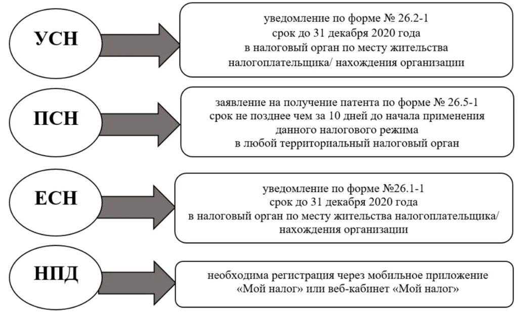 Специальные налоговые режимы: что это такое, виды, применение