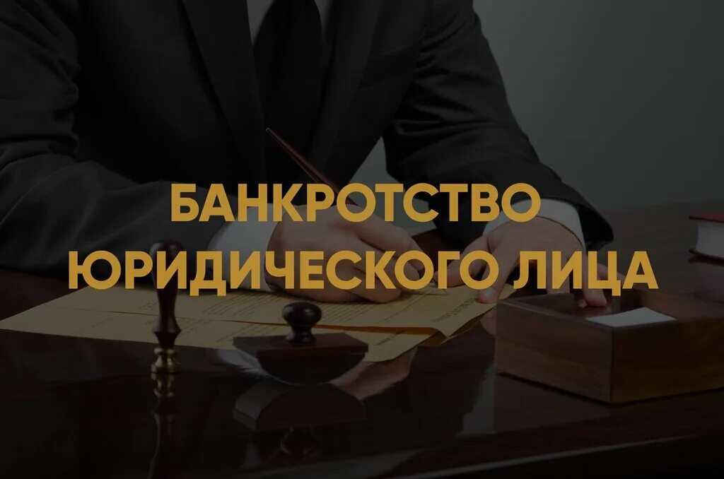 Банкротство физических лиц в 2023 году (процедура, пошаговая инструкция) бизец