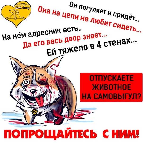 "с животными нельзя!" — законно ли требование или можно смело заходить?