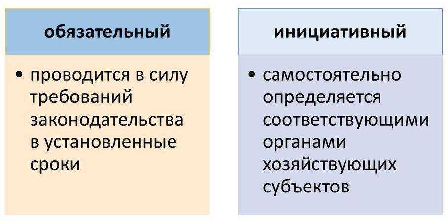Проведение аудиторской проверки бухгалтерской отчётности: всё что нужно знать — «моё дело»