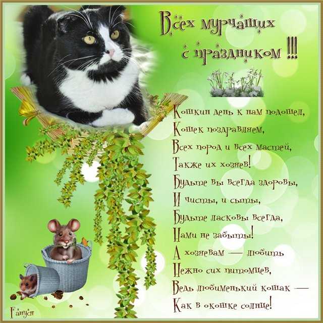 Пусть с вами всегда будет