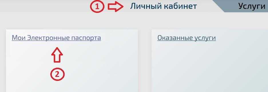Электронный птс с 2024 года