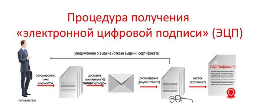 Получение и настройка эцп для юридических лиц для фнс