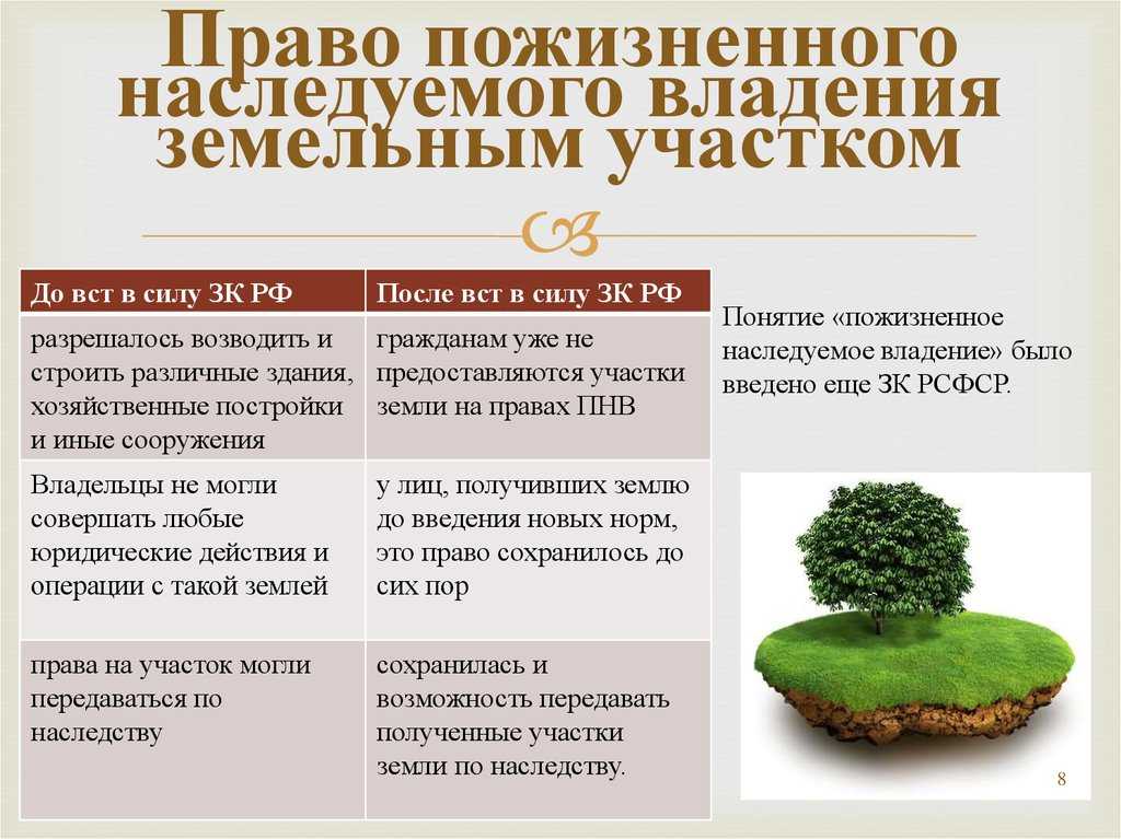 Неоформленное наследство: что делать, если нотариус отказывает в выдаче свидетельства?