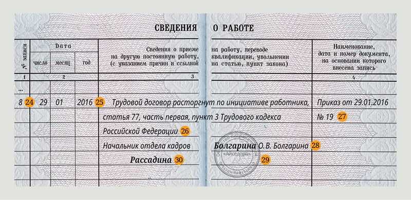 Как сделать запись в трудовой об увольнении по собственному желанию: образец в 2024 году