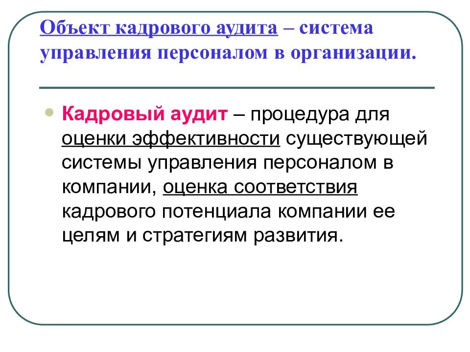 Кадровый аудит - виды, когда нужен, что включает