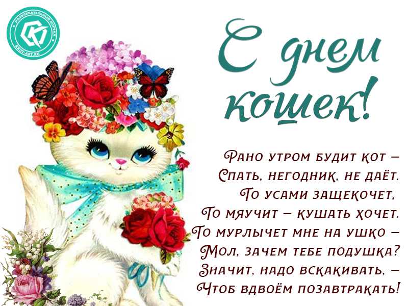 День кошек, красивые поздравления в день кота в стихах и прозе