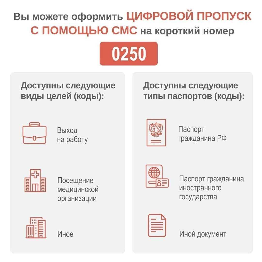 Как получить цифровой пропуск: ответы на главные вопросы
