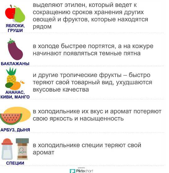 Хранение продуктов дома: правила, условия и сроки