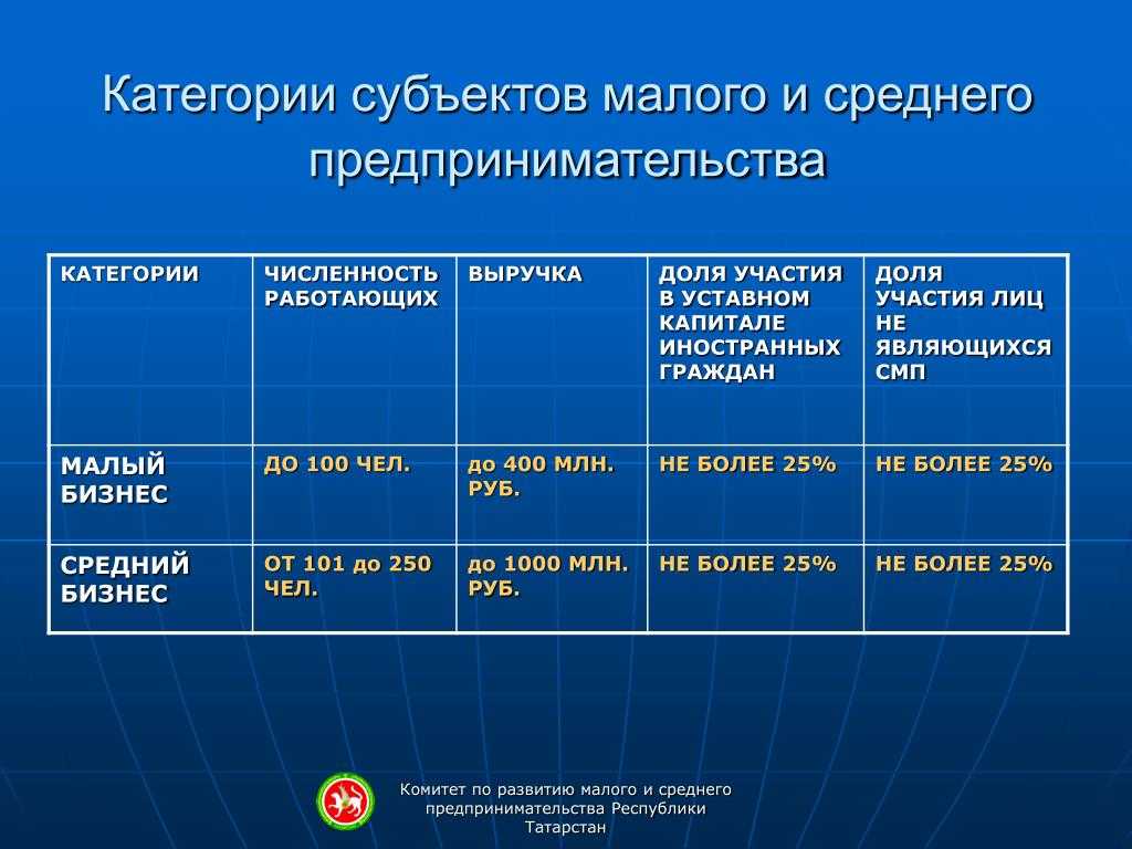 Какие меры господдержки доступны малому бизнесу в 2024 году: льготные кредиты, гранты, налоговые каникулы и другие
