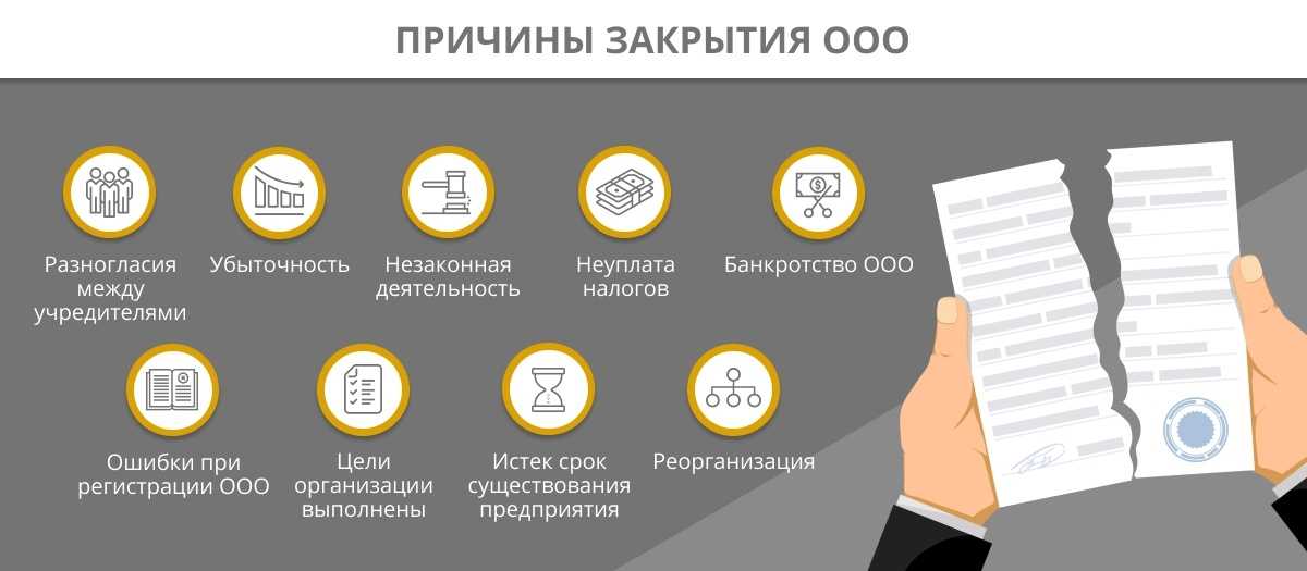 Ликвидация ооо в 2023 году. пошаговая инструкция