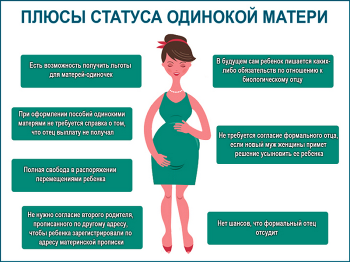 Мать-одиночка: кто считается по закону 2024, как получить статус